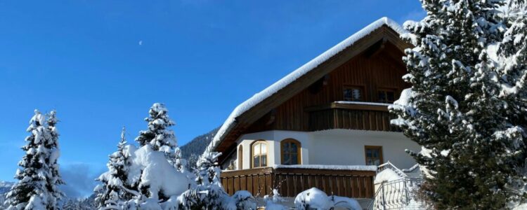 Foto Winter